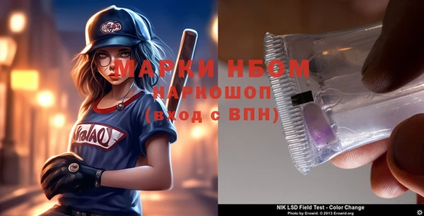 индика Наволоки