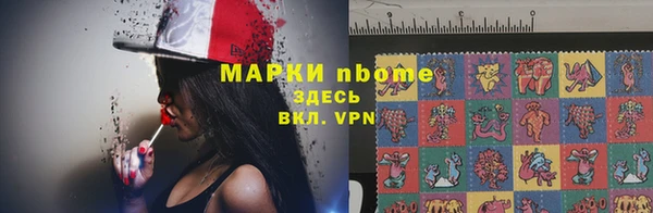 индика Наволоки