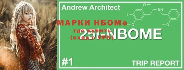 индика Наволоки