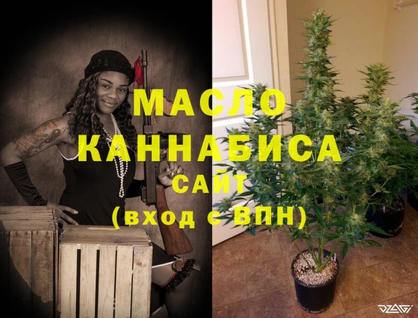 индика Наволоки