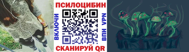 Галлюциногенные грибы Psilocybe  Купить  Сорск 
